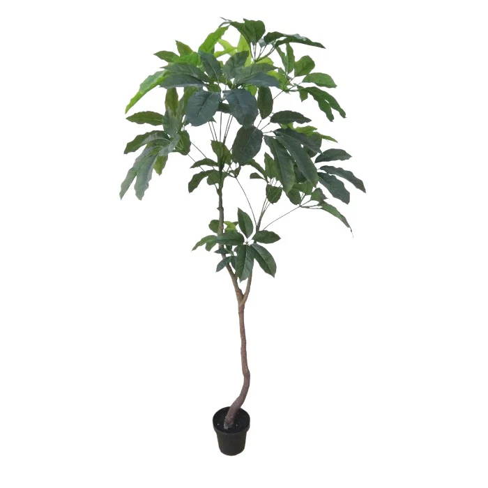 תמונה ממוזערת 2
